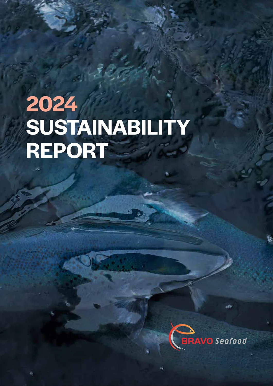 BravoSeafood_Sustainability_report_2024-1